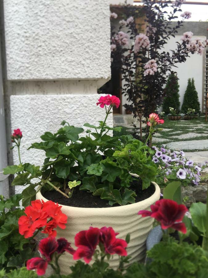 My Garden Hotel Tbilisi Exterior foto