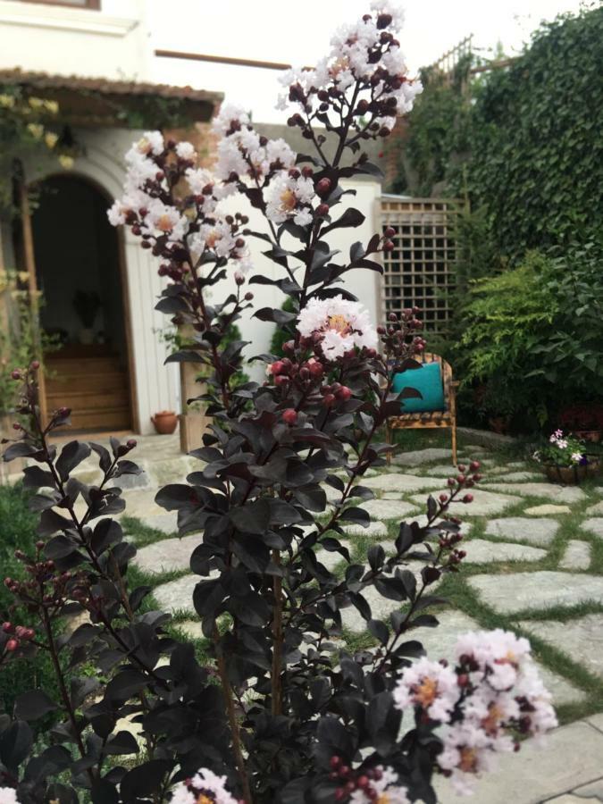 My Garden Hotel Tbilisi Exterior foto